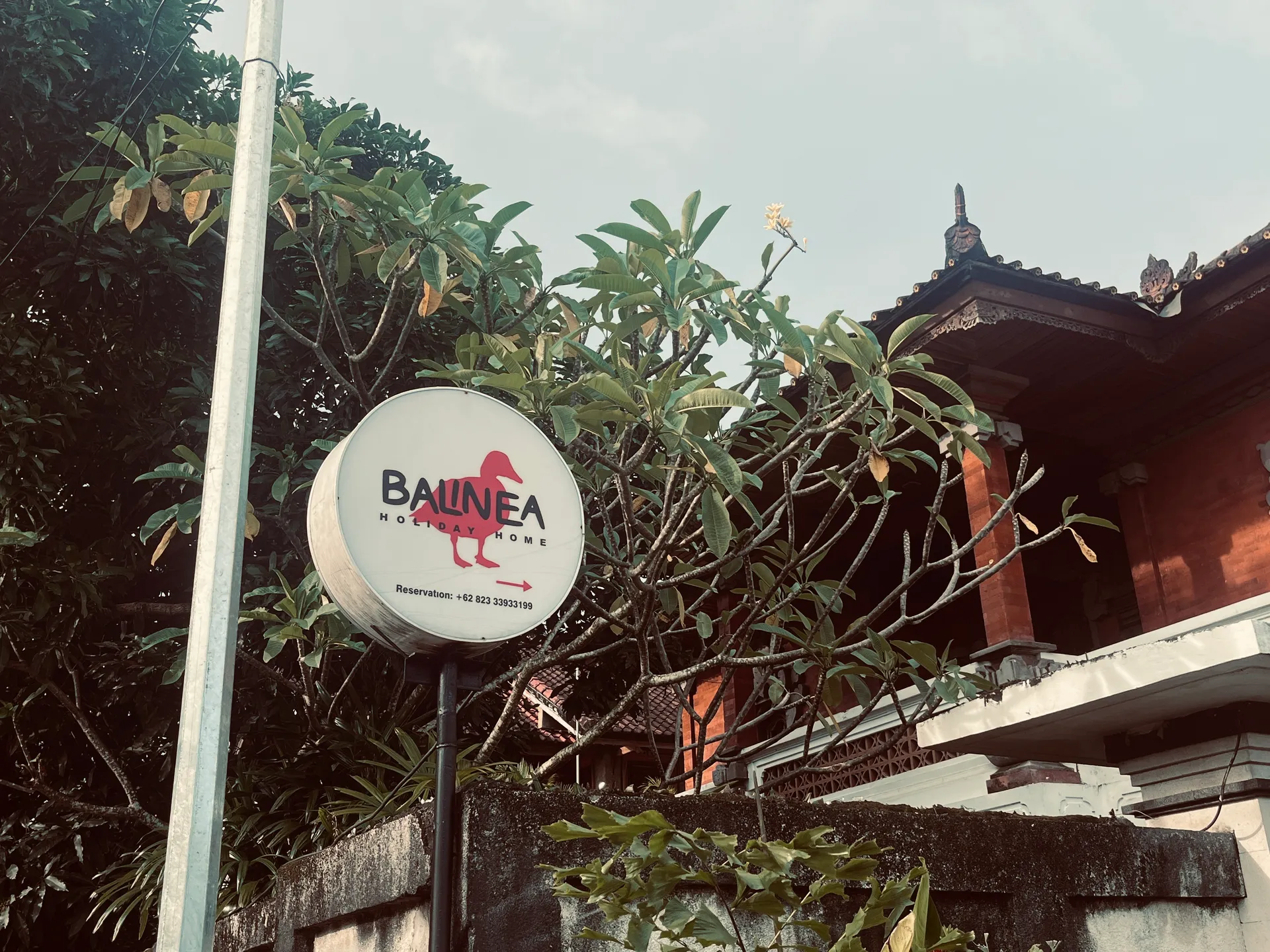 Agatha: la chica normal